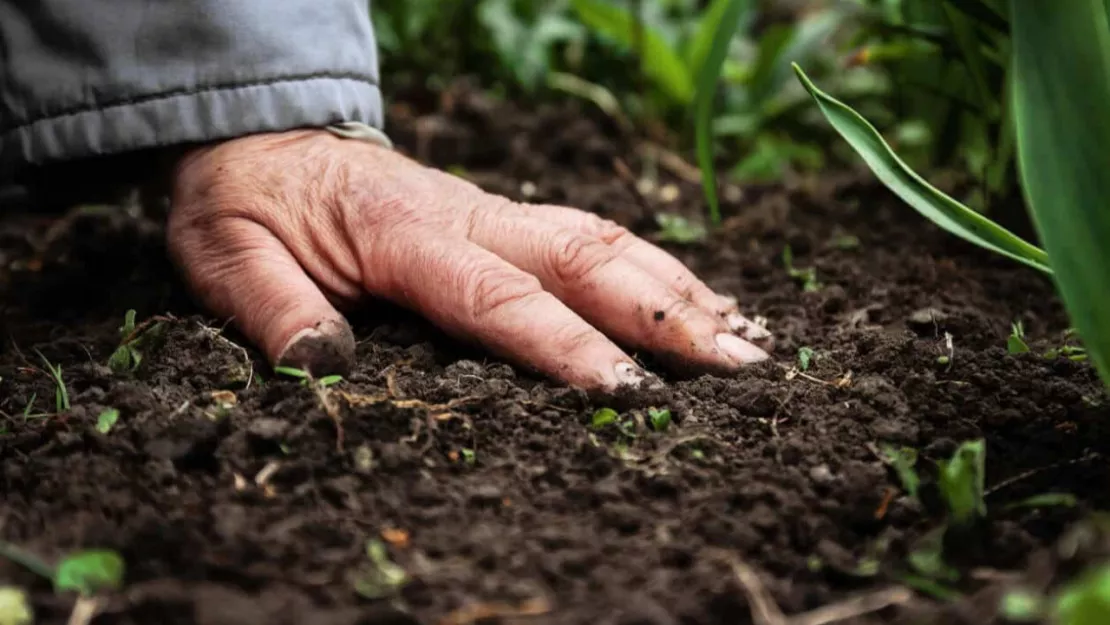 Les agriculteurs des Alpes du Sud sont les plus pauvres de la région SUD