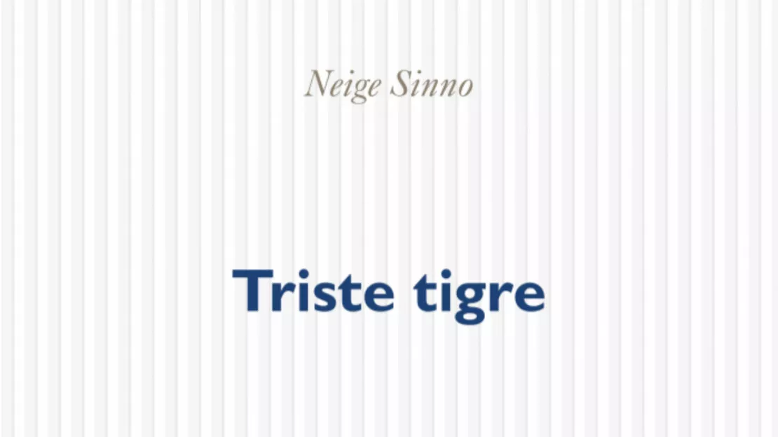 Neige Sinno remporte le prix de littérature Femina 2023