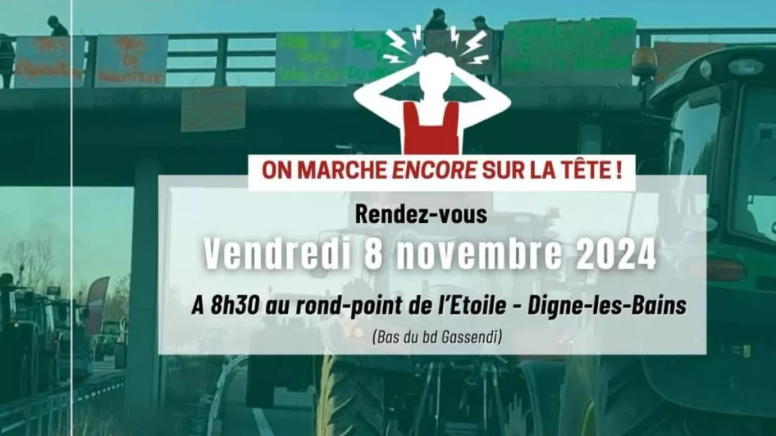 « On marche toujours sur la tête », pour les agriculteurs bas-alpins