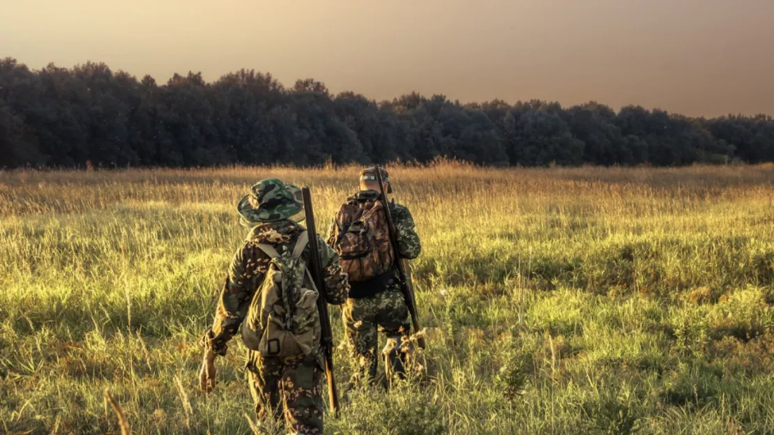 Suspension de la chasse des galliformes de montagne, la fédération de la chasse "plus que jamais déterminée à défendre cette chasse emblématique"