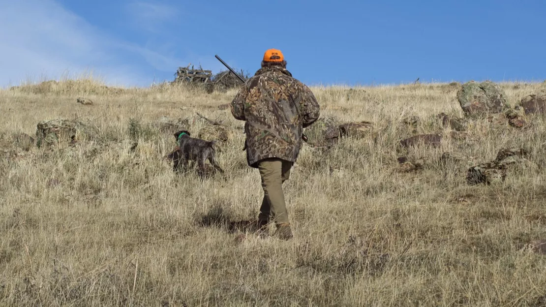 Un chasseur embarré alors qu'il voulait secourir son chien