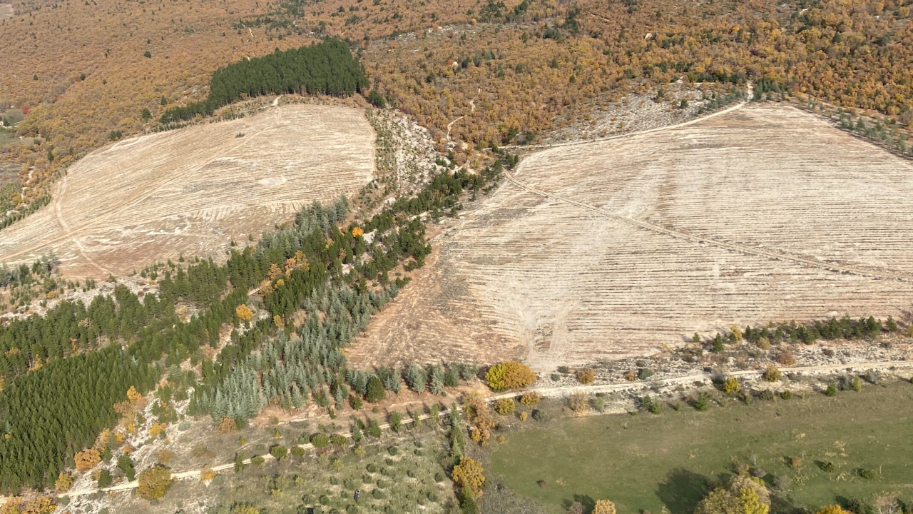 Alpes de Haute-Provence : Boralex, la justice donne raison aux opposants
