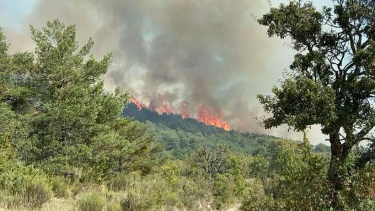 Alpes de Haute-Provence : le feu de forêt à La Rochette désormais fixé