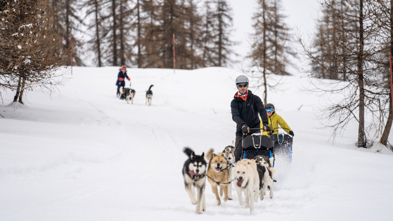 Alpes du Sud : 1.2 million d’euros de chiffres d'affaires pour les domaines nordiques