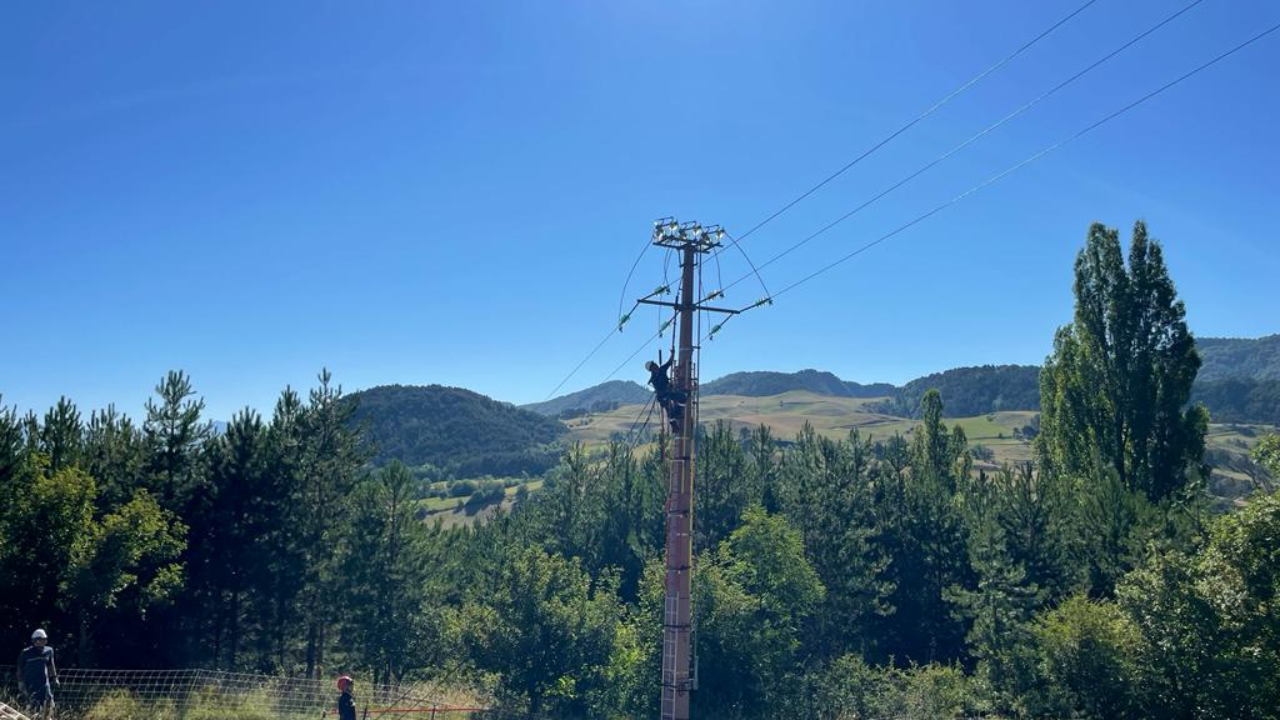 Alpes du Sud : pour protéger les oiseaux, du matériel spécifique sur les lignes électriques de Turriers Alpes du Sud : pour protéger les oiseaux, du matériel spécifique sur les lignes électriques de Turriers