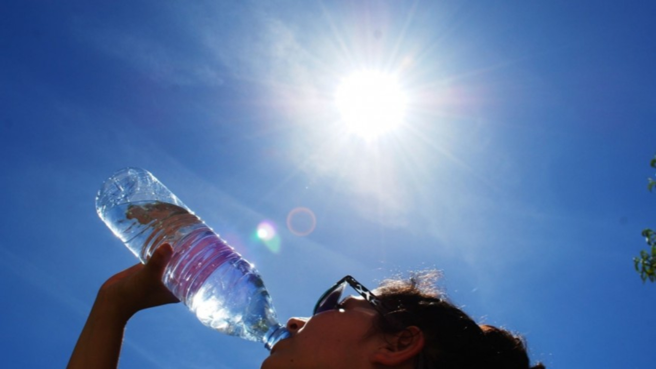 Alpes du Sud : un épisode de chaleur persistant dans nos territoires Alpes du Sud : un épisode de chaleur persistant dans nos territoires