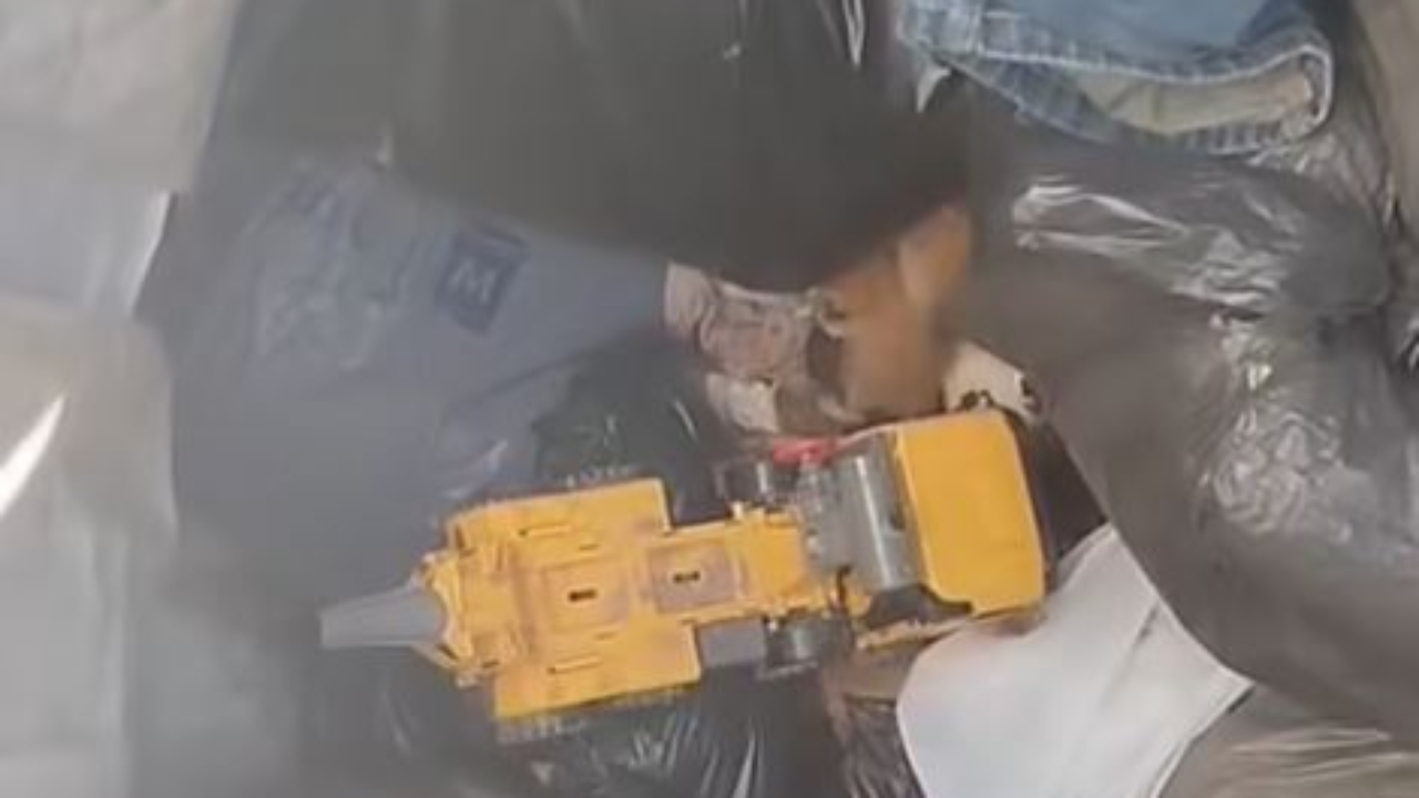 Des chatons une nouvelle fois découverts dans une poubelle à Baratier Des chatons une nouvelle fois découverts dans une poubelle à Baratier