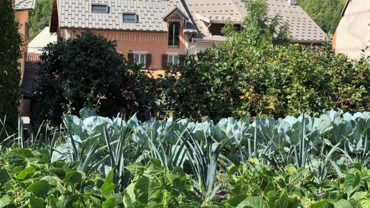 Des nouveaux potagers disponibles pour les habitants de Saint-Chaffrey