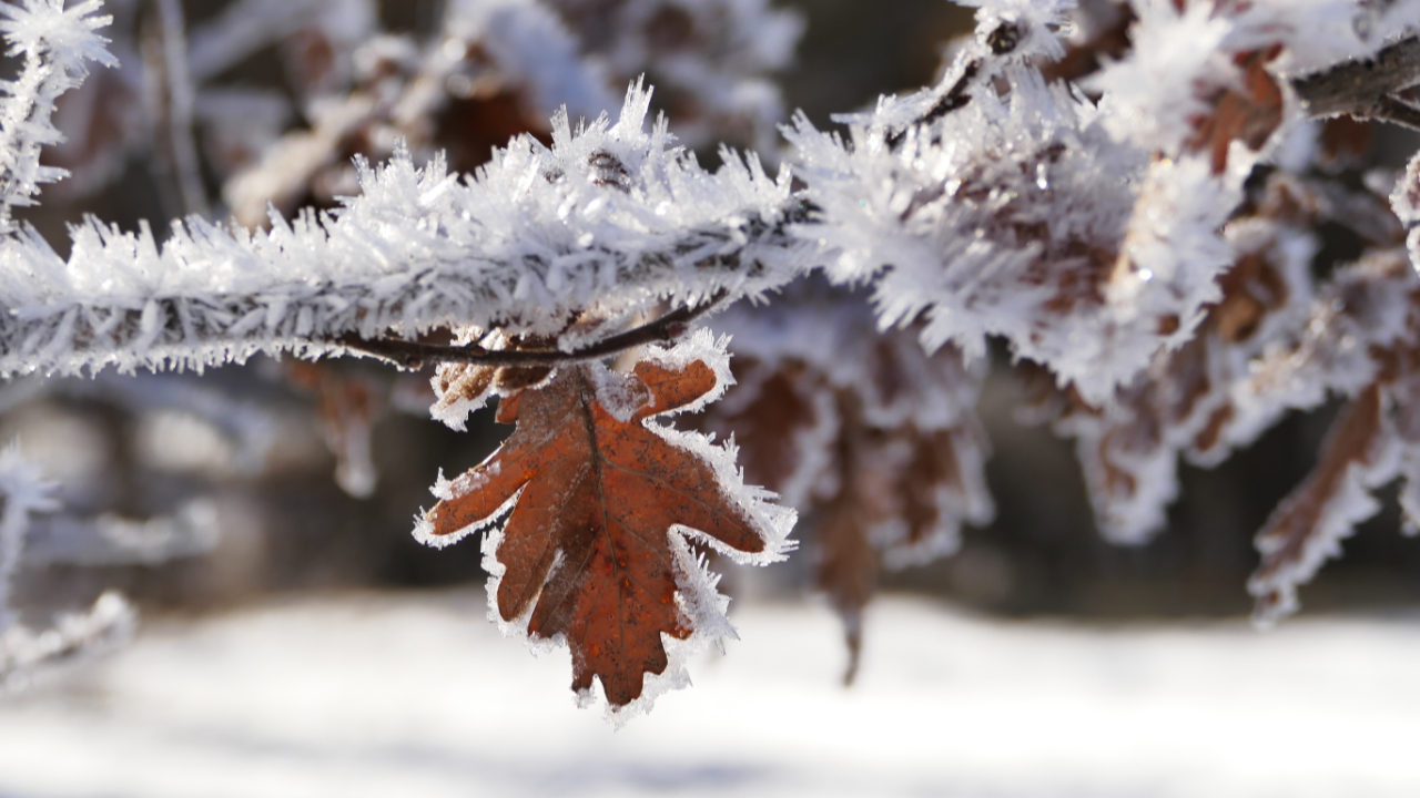Des temp&eacute;ratures &laquo; glaciales &raquo; jusqu&rsquo;&agrave; -20 degr&eacute;s sur les Hautes-Alpes