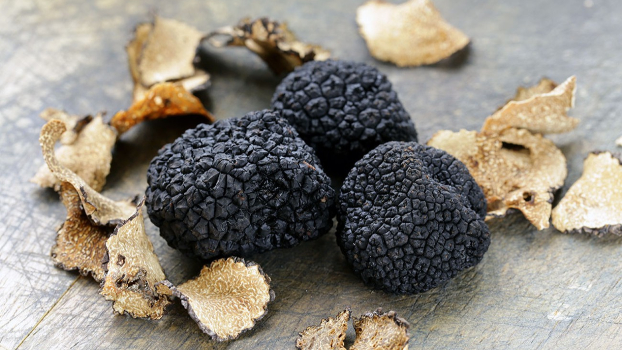 Haute-Provence : 32ème édition de la Fête de la truffe à Mane Haute-Provence : 32ème édition de la Fête de la truffe à Mane