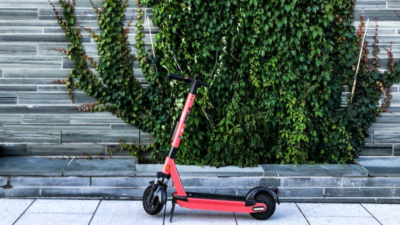 Haute-Provence : journ&eacute;e de l&rsquo;environnement &agrave; Ongles