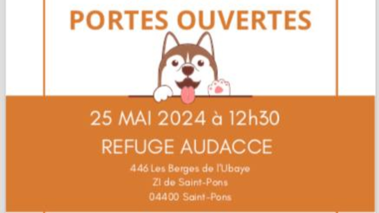 Haute-Provence : journée portes ouvertes ce samedi au refuge AUDACCE Haute-Provence : journée portes ouvertes ce samedi au refuge AUDACCE