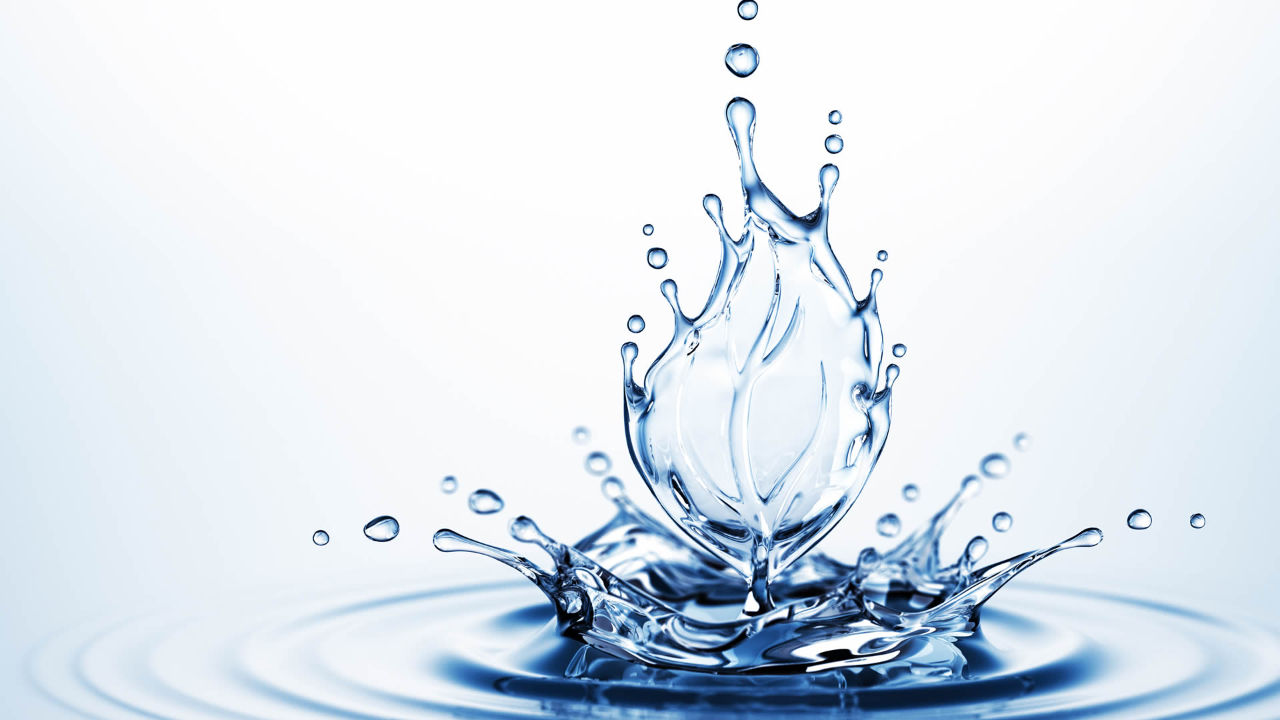 Haute-Provence : la Communauté de Communes Pays de Forcalquier-Montagne de Lure prend soin de son eau Haute-Provence : la Communauté de Communes Pays de Forcalquier-Montagne de Lure prend soin de son eau