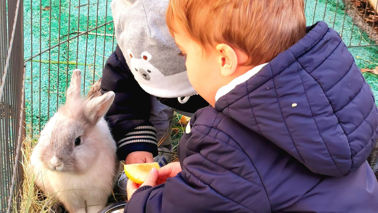Haute-Provence : le torchon brûle entre la Colline des Lutins et la mairie du Vernet