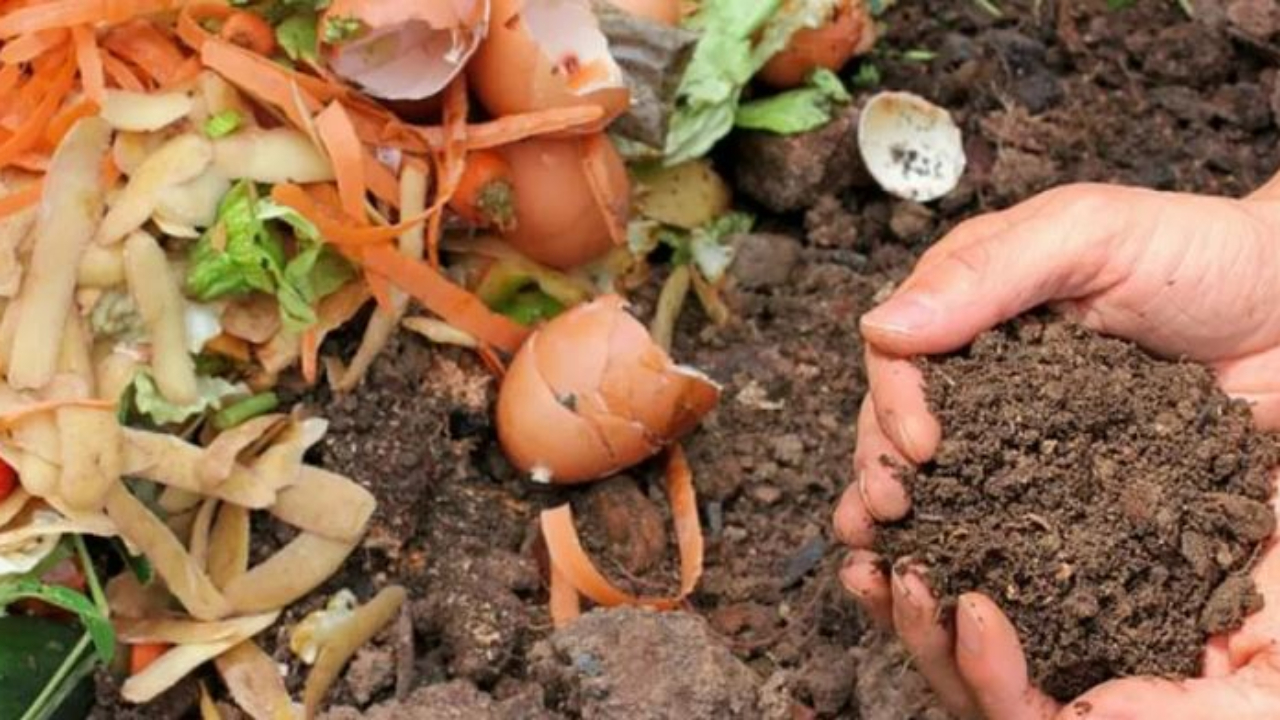 Haute-Provence : pour r&eacute;duire ses d&eacute;chets, des composteurs individuels propos&eacute;s sur PAA