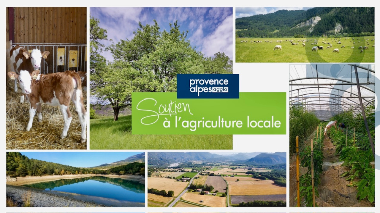 Haute-Provence : relocaliser l’agriculture et l’alimentation localement Haute-Provence : relocaliser l’agriculture et l’alimentation localement