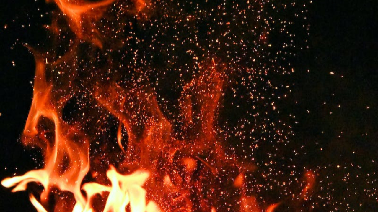 Haute-Provence : risque sévère de feu de forêt Haute-Provence : risque sévère de feu de forêt