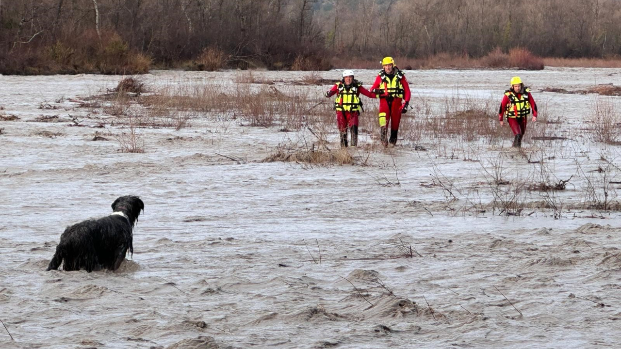 Haute-Provence : un chien sauvé de la noyade par les pompiers Haute-Provence : un chien sauvé de la noyade par les pompiers