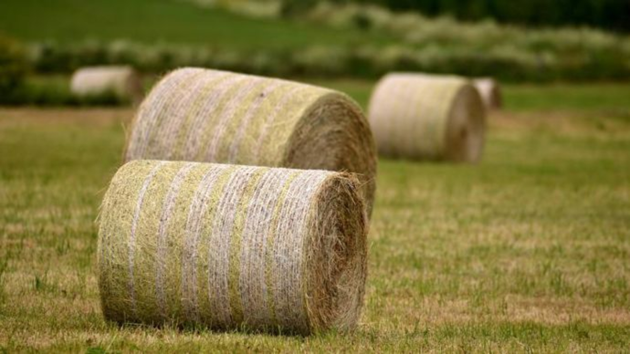 Haute-Provence : un forum de l’accès aux droits du monde agricole à Sisteron Haute-Provence : un forum de l’accès aux droits du monde agricole à Sisteron