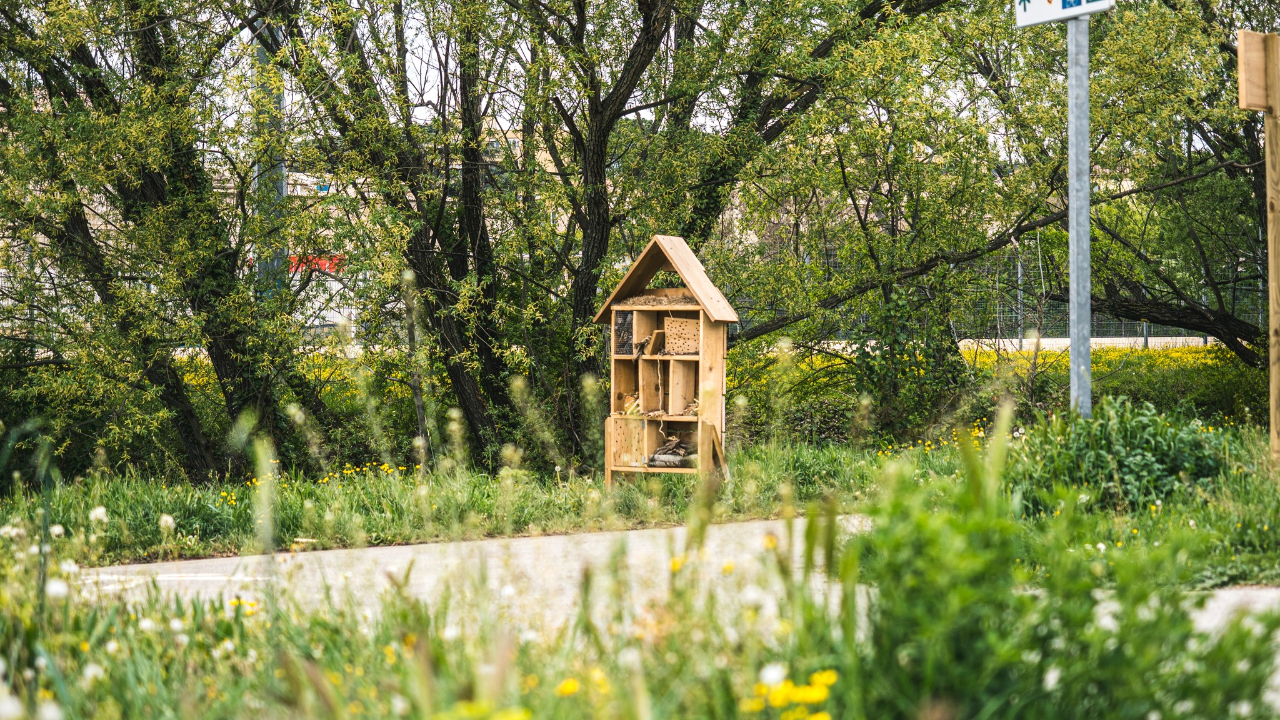 Haute-Provence : un hôtel à insectes à la Ponsonne à Manosque Haute-Provence : un hôtel à insectes à la Ponsonne à Manosque