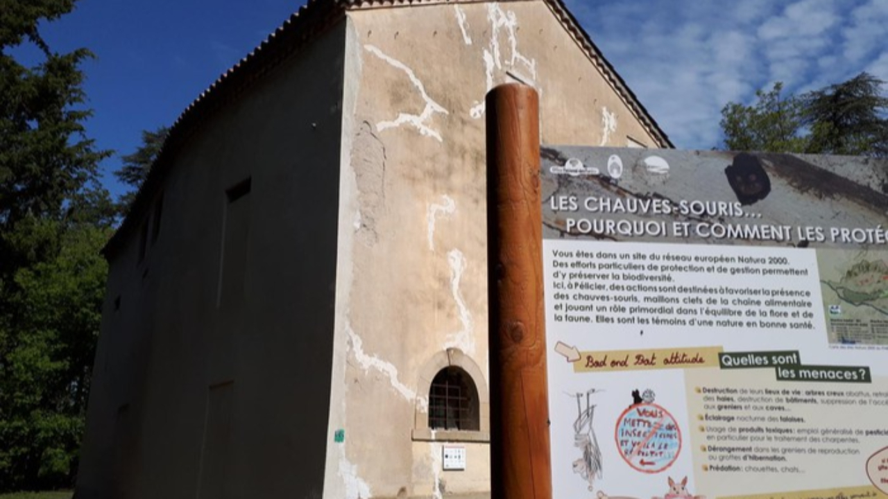 Haute-Provence : une maison de la chauve-souris rénovée à Manosque