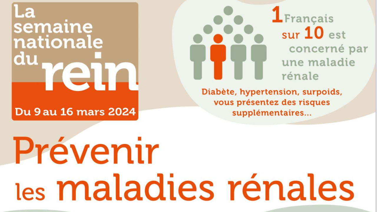 Hautes-Alpes : des dépistages urinaires gratuits à l'hôpital de Gap dans le cadre de la semaine du rein
