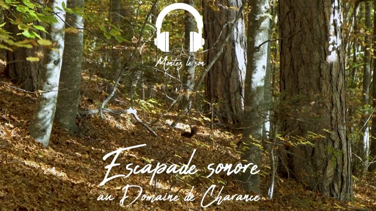 Hautes-Alpes : des « Escapades sonores » pour découvrir Gap Tallard Vallées autrement Hautes-Alpes : des « Escapades sonores » pour découvrir Gap Tallard Vallées autrement