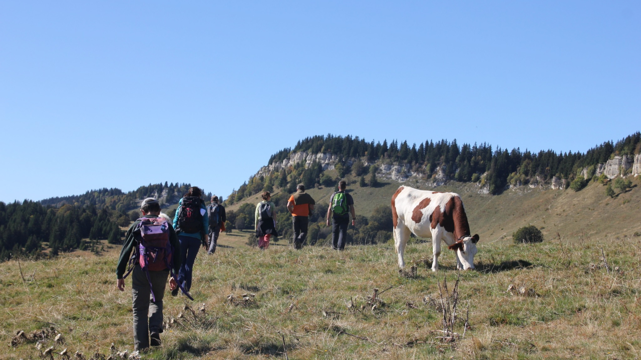 Hautes-Alpes : deux médiatrices pastorales au Monêtier les Bains Hautes-Alpes : deux médiatrices pastorales au Monêtier les Bains