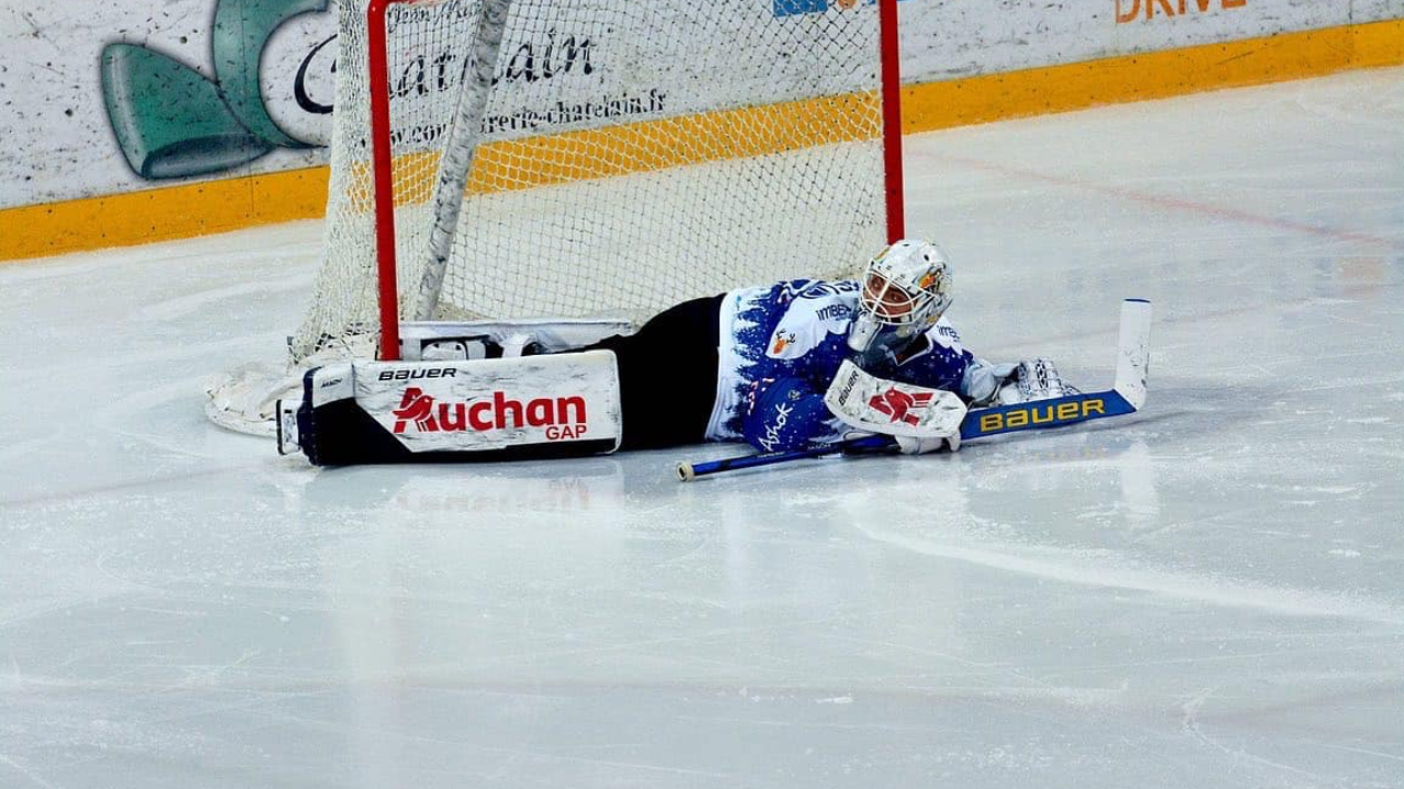 Hautes-Alpes : direction Amiens pour les Rapaces de Gap