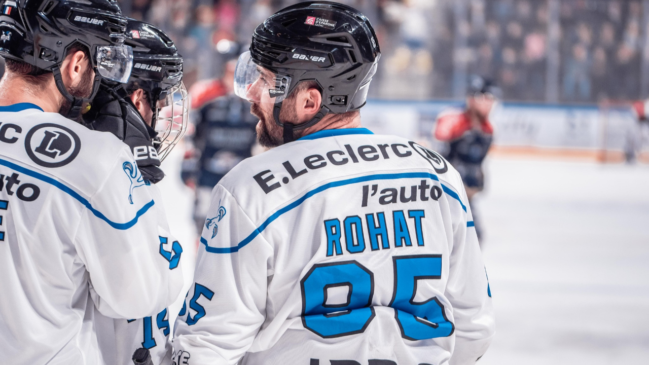 Hautes-Alpes : faux pas interdit pour les Rapaces de Gap Hautes-Alpes : faux pas interdit pour les Rapaces de Gap