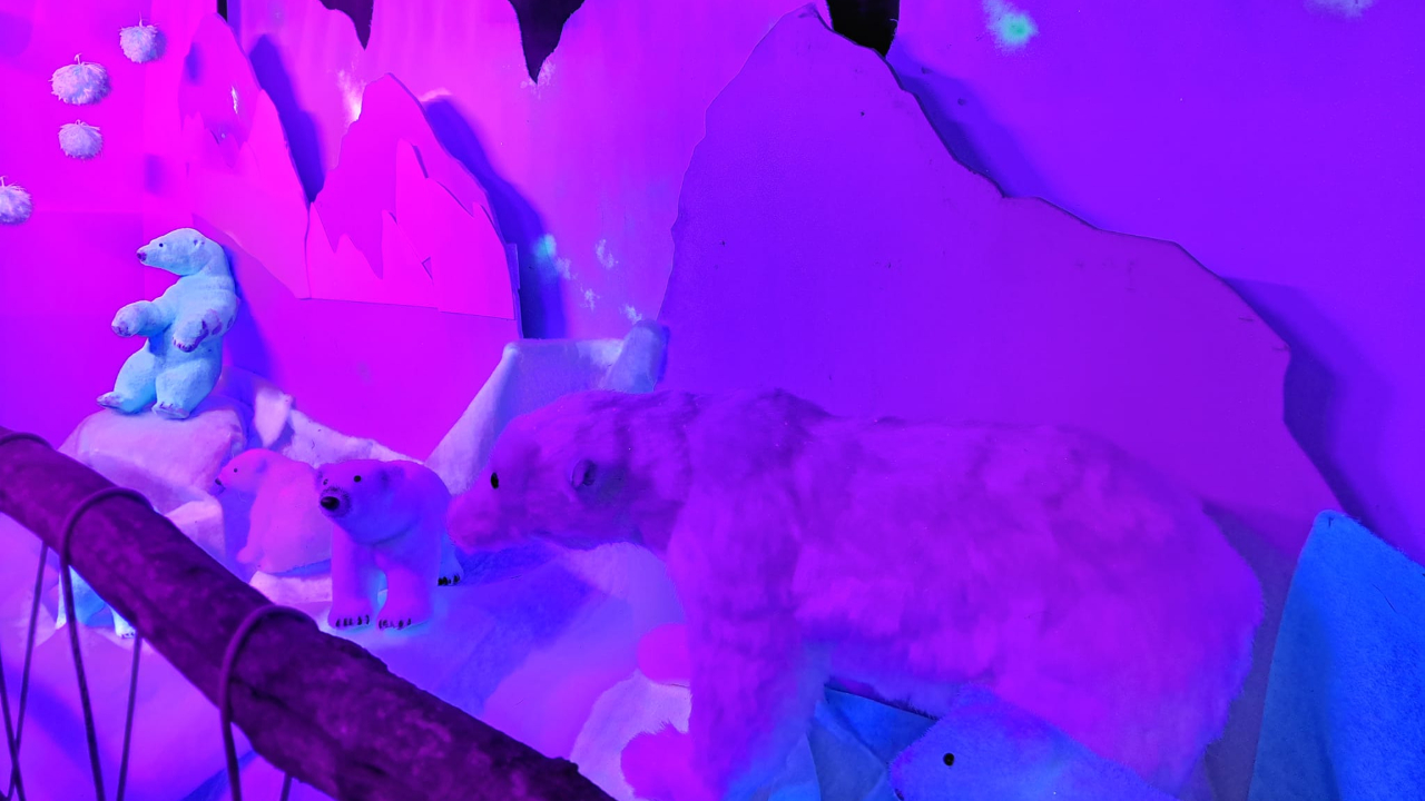 Hautes-Alpes : la magie de No&euml;l s&rsquo;installe dans le Pays des &Eacute;crins