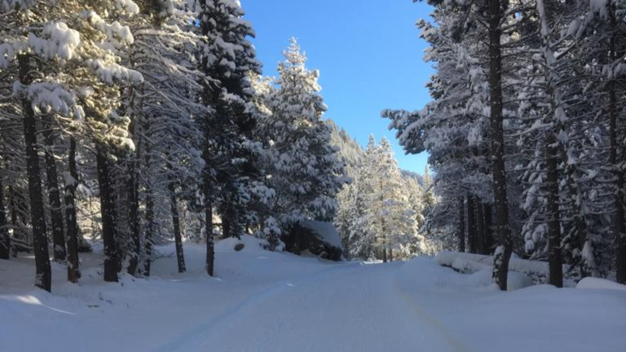 Hautes-Alpes : le domaine nordique du Queyras ouvre en anticipée Hautes-Alpes : le domaine nordique du Queyras ouvre en anticipée