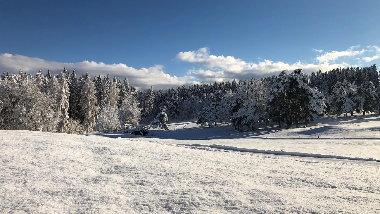Hautes-Alpes : le retour de Gap Bayard au f&eacute;minin