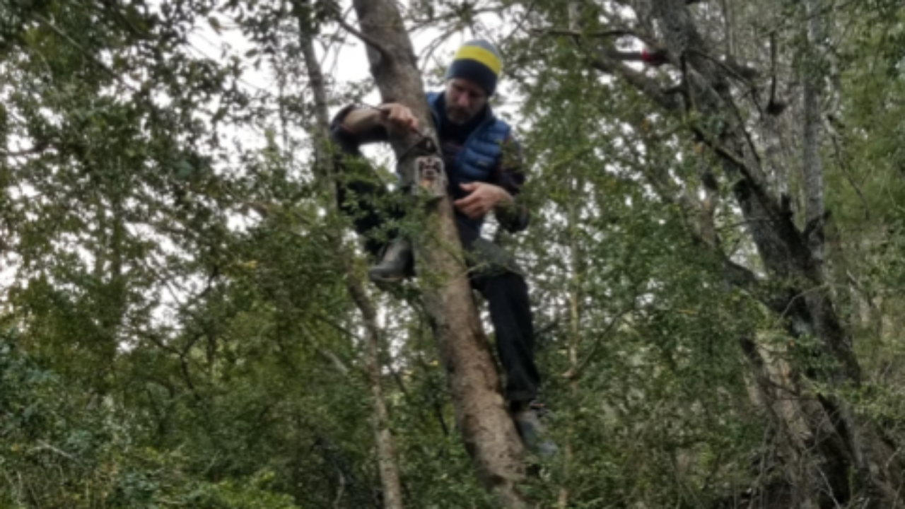 Hautes-Alpes : les bénévoles du réseau de suivi du loup sont de nouveau réunis Hautes-Alpes : les bénévoles du réseau de suivi du loup sont de nouveau réunis