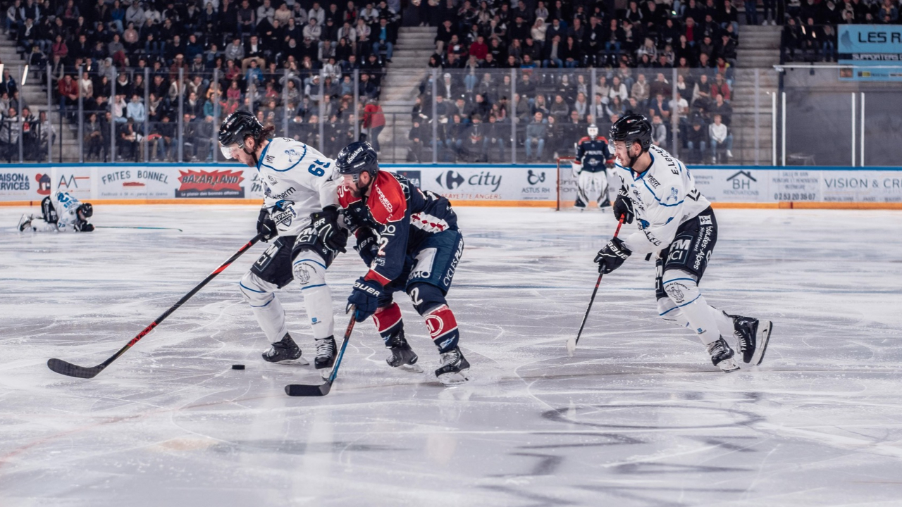 Hautes-Alpes : les Rapaces au r&eacute;v&eacute;lateur du test angevin