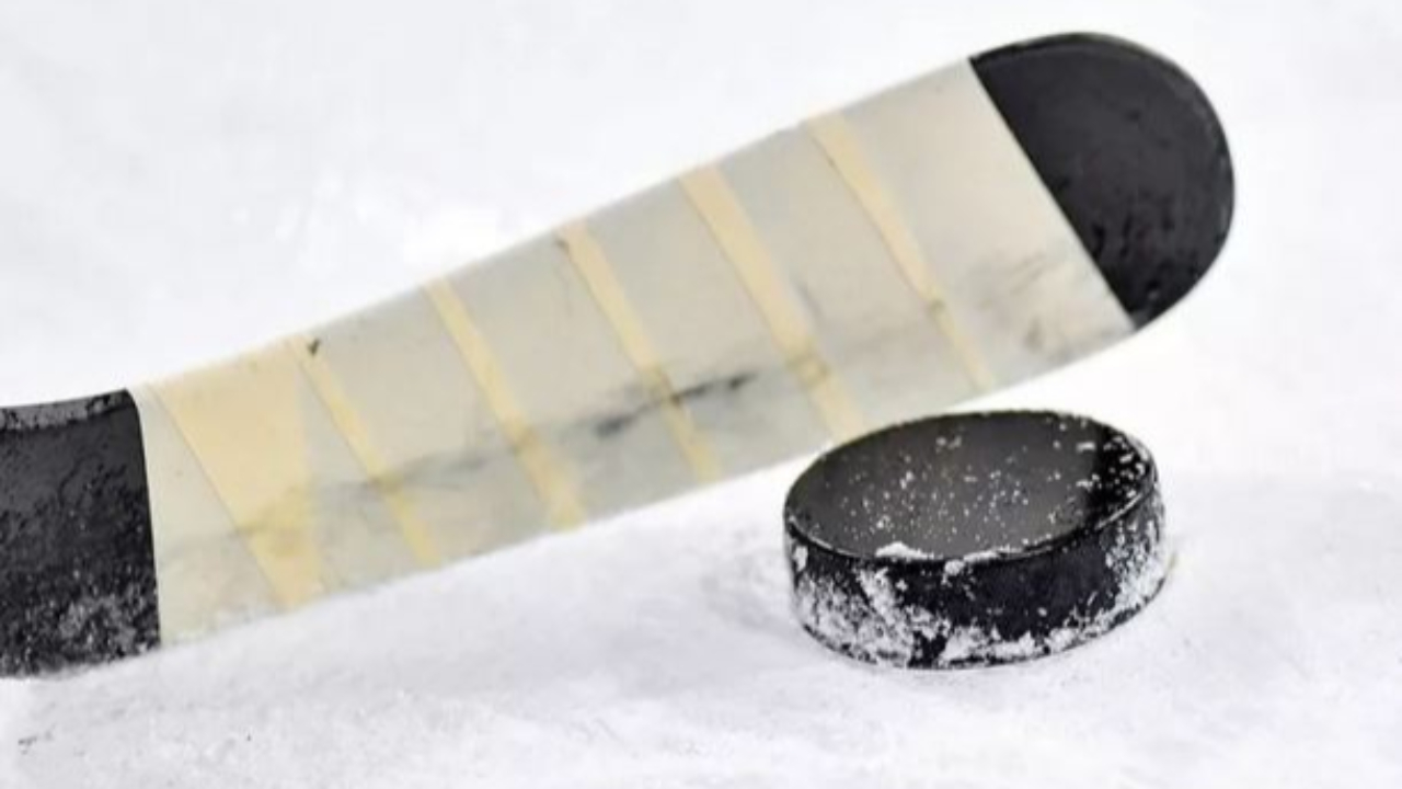 Hautes-Alpes : Les Rapaces s’inclinent face à Amiens Hautes-Alpes : Les Rapaces s’inclinent face à Amiens