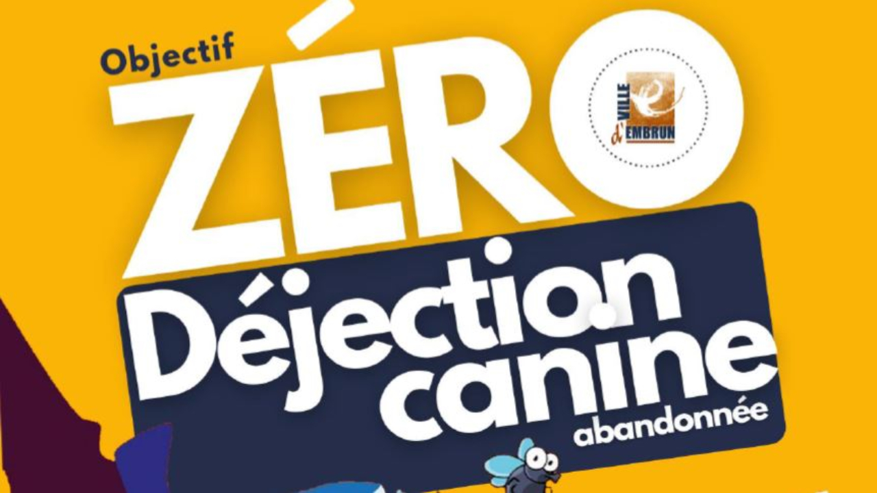 Hautes-Alpes : pas de plan d’eau pour les toutous à Embrun cet été Hautes-Alpes : pas de plan d’eau pour les toutous à Embrun cet été