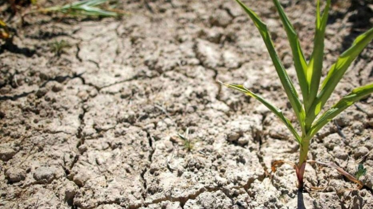 Hautes-Alpes : reconnaissance de l’état de catastrophe naturelle pour la commune de Valserres Hautes-Alpes : reconnaissance de l’état de catastrophe naturelle pour la commune de Valserres
