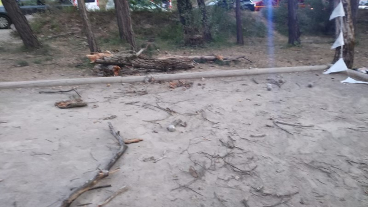 Hautes-Alpes : un arbre d'une dizaine de m&egrave;tres tombe sur une sexag&eacute;naire &agrave; Rochebrune