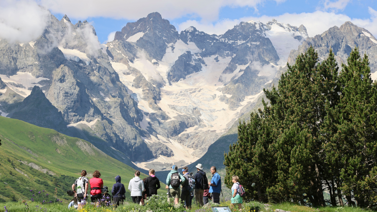 Hautes-Alpes : un jardin prim&eacute; au milieu des glaciers