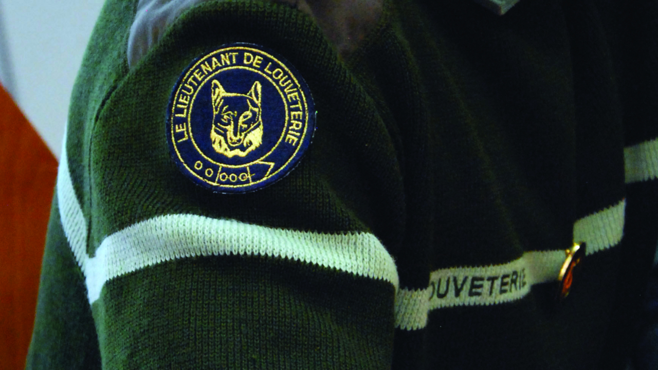 Hautes-Alpes : un lieutenant de louveterie tue accidentellement un chien Hautes-Alpes : un lieutenant de louveterie tue accidentellement un chien