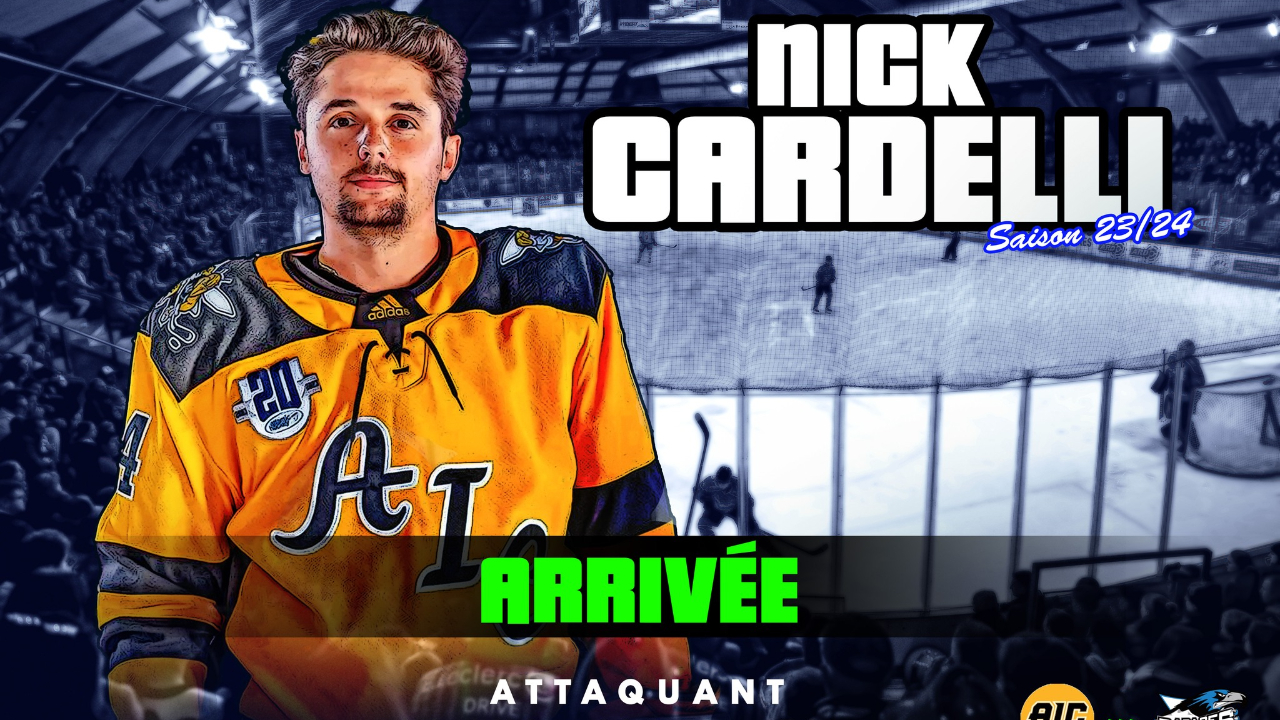 Hautes-Alpes : une arrivée américaine chez les Rapaces de Gap Hautes-Alpes : une arrivée américaine chez les Rapaces de Gap