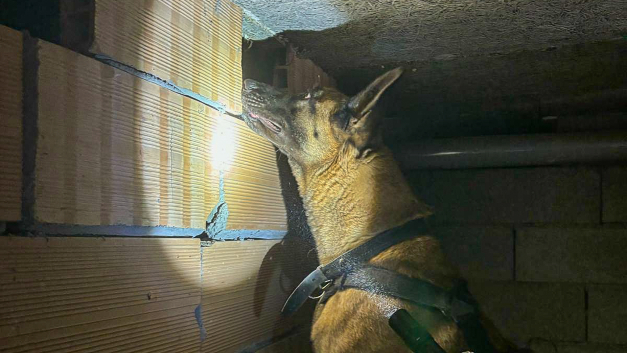 Hautes-Alpes : une condamnation suite à l'opération place nette à Briançon