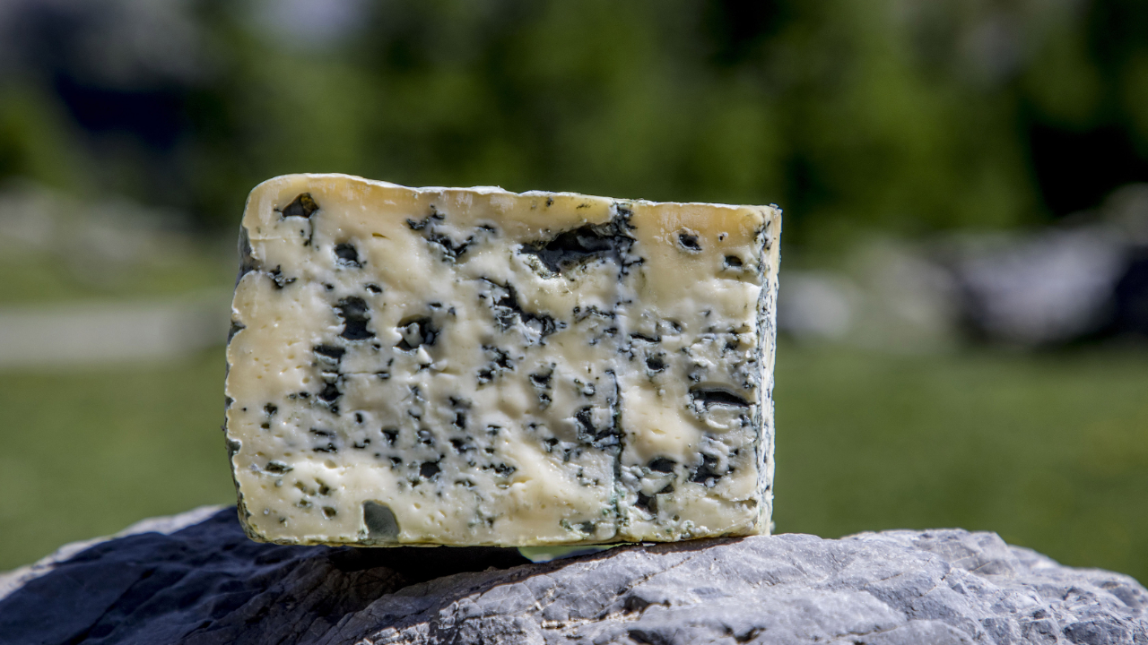 Hautes-Alpes : une dégustation des produits primés au Concours Général Agricole Hautes-Alpes : une dégustation des produits primés au Concours Général Agricole