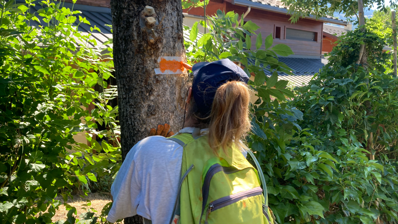 Hautes-Alpes : une formation de baliseur à Montmaur Hautes-Alpes : une formation de baliseur à Montmaur
