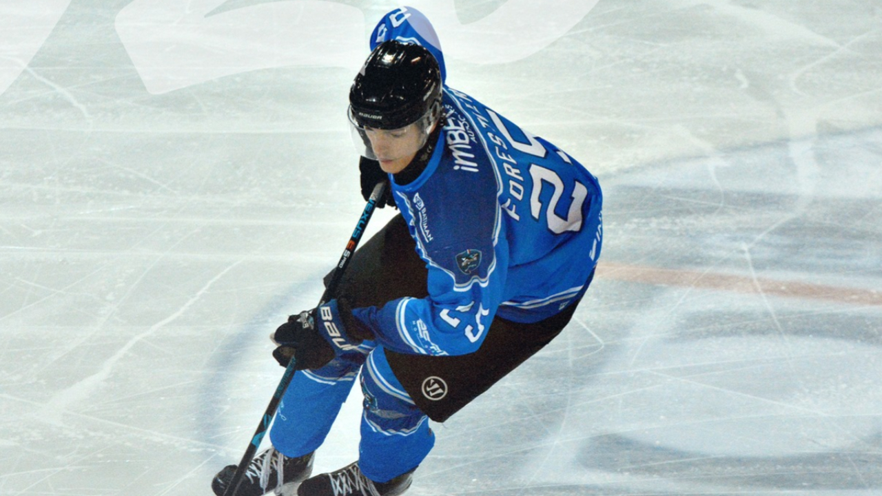 Hautes-Alpes : victoire des U20 des Rapaces Hautes-Alpes : victoire des U20 des Rapaces