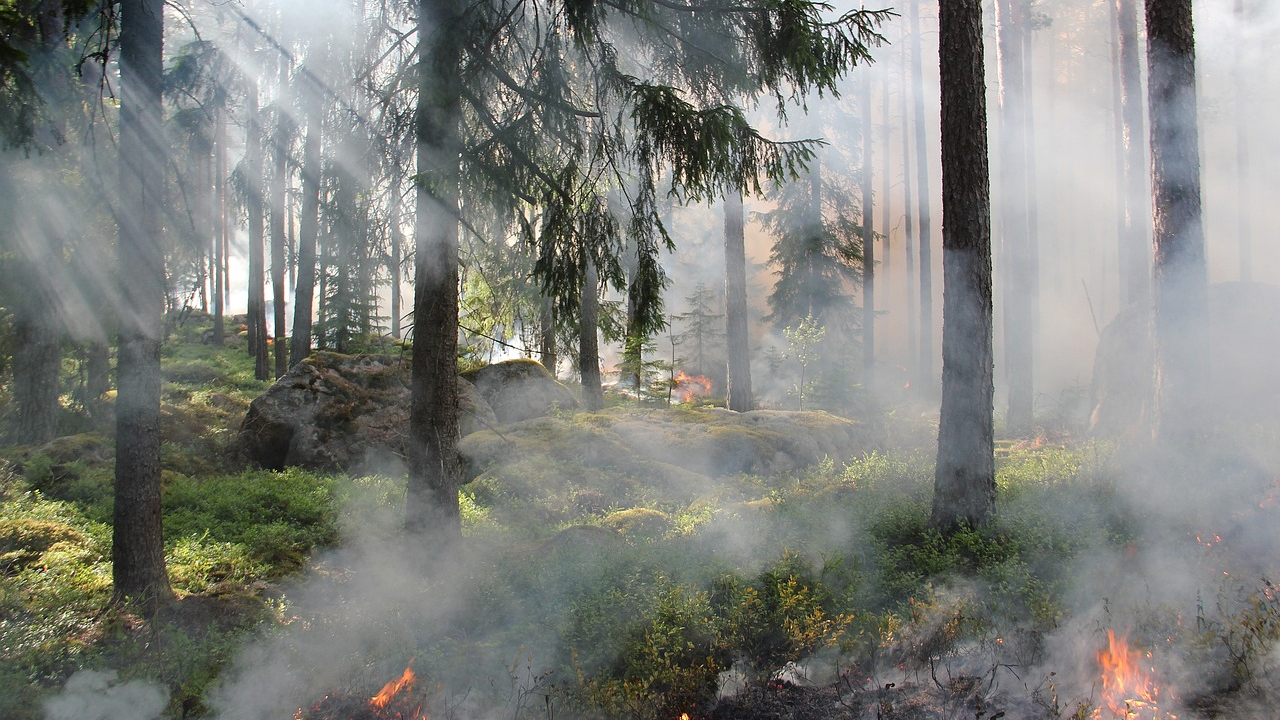 Hautes-Alpes : vigilance feux de for&ecirc;t