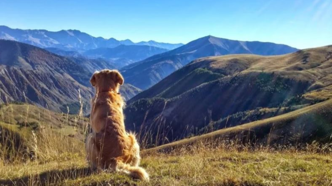 L'office de tourisme du Sisteronais Buëch à Paris pour mettre en avant ses atouts naturels L'office de tourisme du Sisteronais Buëch à Paris pour mettre en avant ses atouts naturels