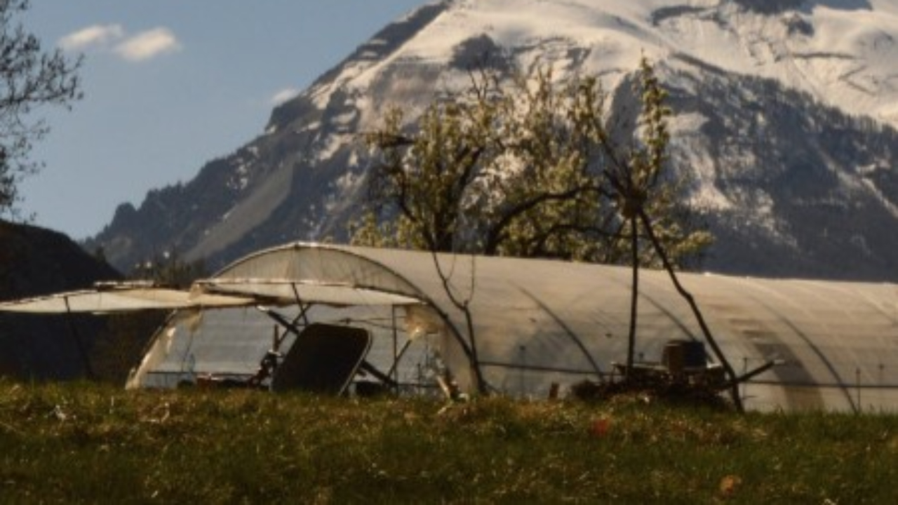 La coopérative Terres en Guil, une parade contre l'endettement des jeunes agriculteurs La coopérative Terres en Guil, une parade contre l'endettement des jeunes agriculteurs