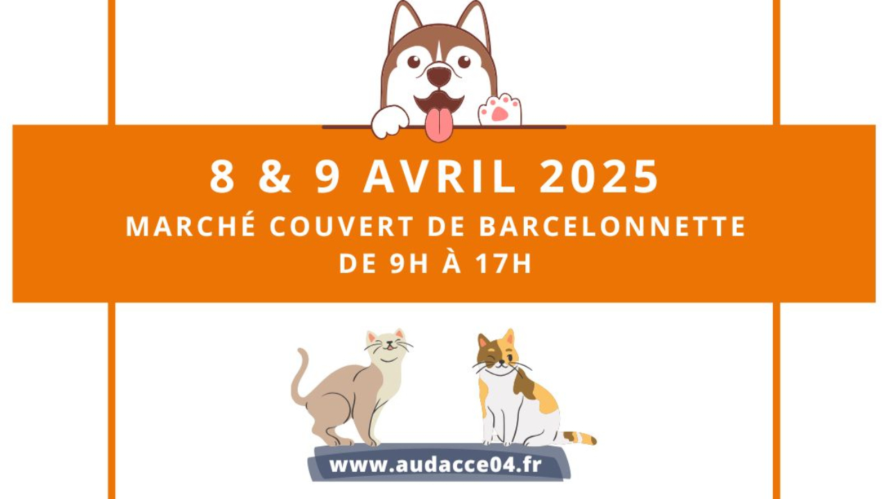 Le refuge animalier de la Vallée de l’Ubaye fait son vide-greniers mardi et mercredi